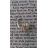 Pärl kuldraamis