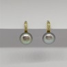 Pearl on sparkling golden spoon