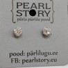 Zircon ball screw silver stud earrings