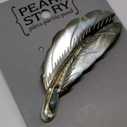 Feather brooch paua shell