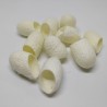 Silk cocoon scrub