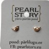 Bird silver stud earrings