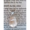 Paarispärl ripats